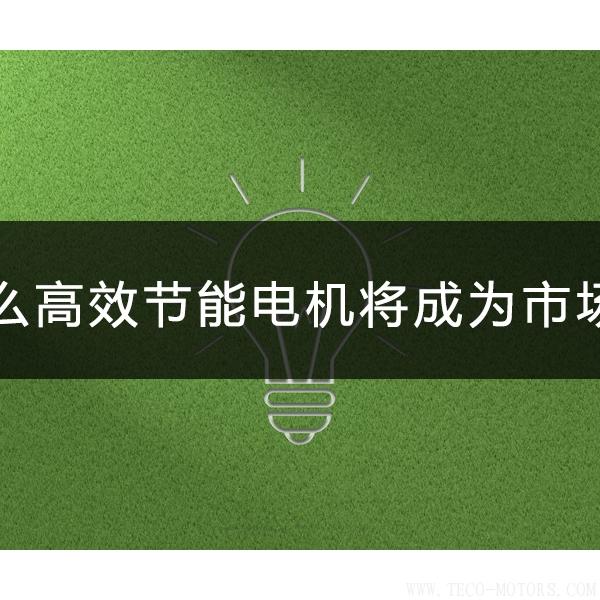 為什么高效節(jié)能電機(jī)將會成為市場主流