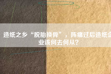 造紙之鄉(xiāng)“脫胎換骨”，陣痛過后造紙企業(yè)該何去何從？