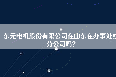 東元電機(jī)股份有限公司在山東在辦事處或分公司嗎？