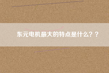 東元電機最大的特點是什么？？