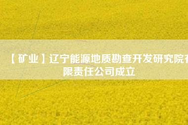 【礦業(yè)】遼寧能源地質(zhì)勘查開發(fā)研究院有限責任公司成立