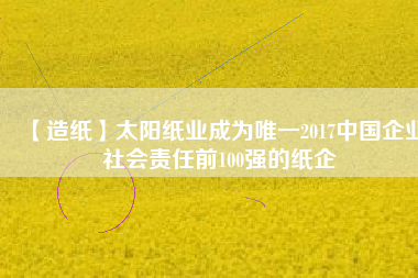 【造紙】太陽紙業(yè)成為唯一2017中國企業(yè)社會責任前100強的紙企