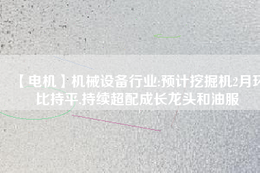 【電機(jī)】機(jī)械設(shè)備行業(yè):預(yù)計(jì)挖掘機(jī)2月環(huán)比持平,持續(xù)超配成長(zhǎng)龍頭和油服
          