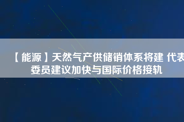 【能源】天然氣產(chǎn)供儲(chǔ)銷體系將建 代表委員建議加快與國(guó)際價(jià)格接軌