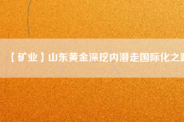 【礦業(yè)】山東黃金深挖內(nèi)潛走國(guó)際化之路