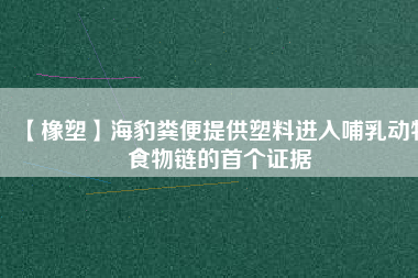 【橡塑】海豹糞便提供塑料進(jìn)入哺乳動物食物鏈的首個證據(jù)