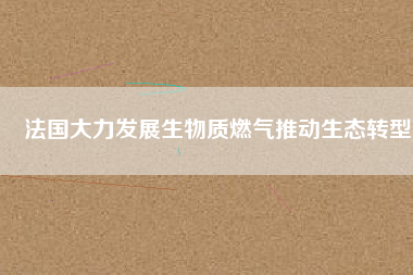 法國(guó)大力發(fā)展生物質(zhì)燃?xì)馔苿?dòng)生態(tài)轉(zhuǎn)型