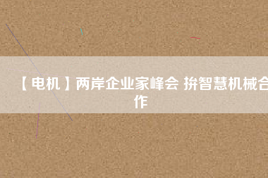 【電機(jī)】兩岸企業(yè)家峰會 拚智慧機(jī)械合作
          