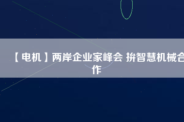 【電機(jī)】兩岸企業(yè)家峰會 拚智慧機(jī)械合作
          