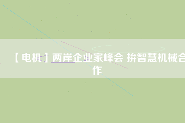 【電機(jī)】兩岸企業(yè)家峰會 拚智慧機(jī)械合作
          