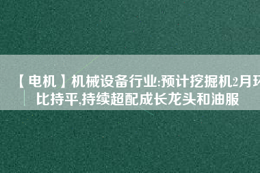 【電機(jī)】機(jī)械設(shè)備行業(yè):預(yù)計(jì)挖掘機(jī)2月環(huán)比持平,持續(xù)超配成長(zhǎng)龍頭和油服
          