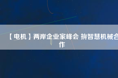 【電機(jī)】兩岸企業(yè)家峰會 拚智慧機(jī)械合作
          