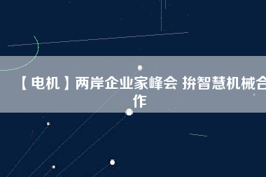 【電機(jī)】兩岸企業(yè)家峰會 拚智慧機(jī)械合作
          