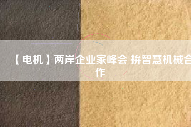 【電機(jī)】兩岸企業(yè)家峰會 拚智慧機(jī)械合作
          