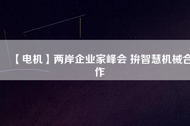 【電機(jī)】兩岸企業(yè)家峰會 拚智慧機(jī)械合作
          