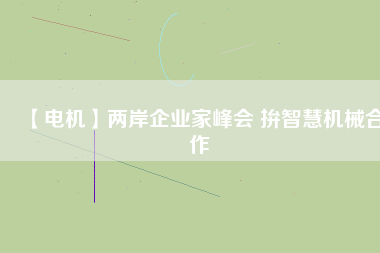 【電機(jī)】兩岸企業(yè)家峰會 拚智慧機(jī)械合作
          