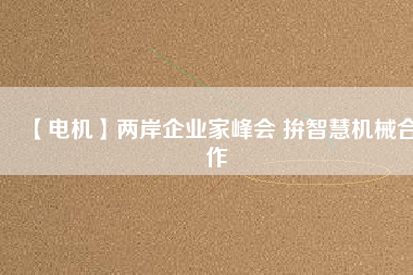 【電機(jī)】兩岸企業(yè)家峰會 拚智慧機(jī)械合作
          