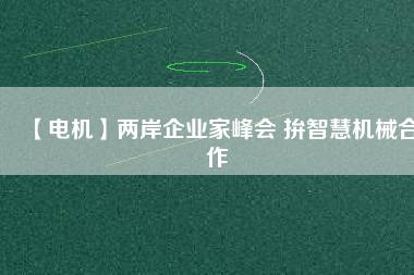 【電機(jī)】兩岸企業(yè)家峰會 拚智慧機(jī)械合作
          