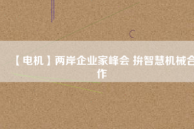 【電機(jī)】兩岸企業(yè)家峰會 拚智慧機(jī)械合作
          