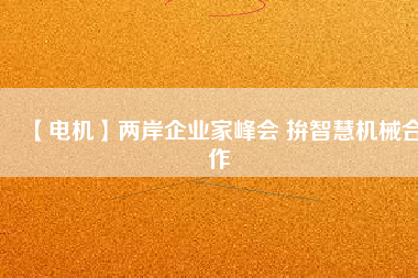 【電機(jī)】兩岸企業(yè)家峰會 拚智慧機(jī)械合作
          