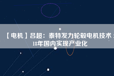 【電機】呂超：泰特發(fā)力輪轂電機技術(shù) 2018年國內(nèi)實現(xiàn)產(chǎn)業(yè)化
          