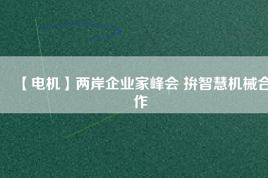 【電機(jī)】兩岸企業(yè)家峰會 拚智慧機(jī)械合作
          