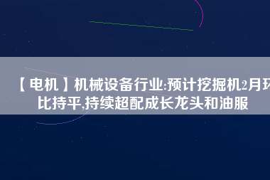 【電機(jī)】機(jī)械設(shè)備行業(yè):預(yù)計(jì)挖掘機(jī)2月環(huán)比持平,持續(xù)超配成長(zhǎng)龍頭和油服
          