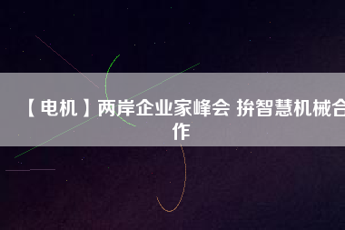 【電機(jī)】兩岸企業(yè)家峰會 拚智慧機(jī)械合作
          