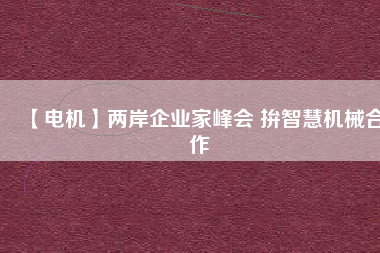 【電機(jī)】兩岸企業(yè)家峰會 拚智慧機(jī)械合作
          