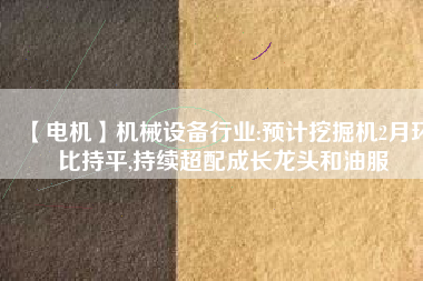 【電機(jī)】機(jī)械設(shè)備行業(yè):預(yù)計(jì)挖掘機(jī)2月環(huán)比持平,持續(xù)超配成長(zhǎng)龍頭和油服
          