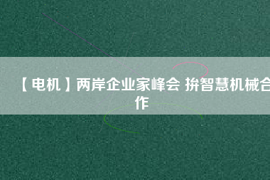 【電機(jī)】兩岸企業(yè)家峰會 拚智慧機(jī)械合作
          