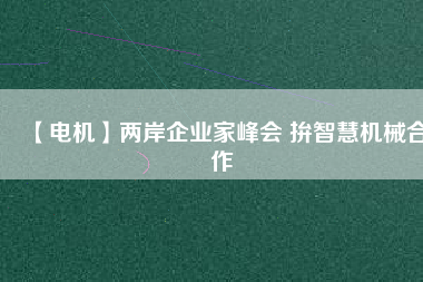 【電機(jī)】兩岸企業(yè)家峰會 拚智慧機(jī)械合作
          