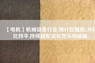 【電機(jī)】機(jī)械設(shè)備行業(yè):預(yù)計(jì)挖掘機(jī)2月環(huán)比持平,持續(xù)超配成長(zhǎng)龍頭和油服
          