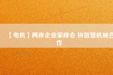 【電機(jī)】兩岸企業(yè)家峰會 拚智慧機(jī)械合作
          