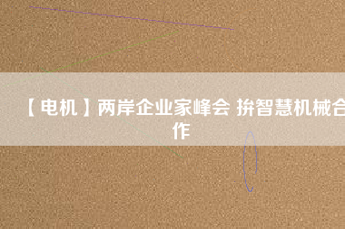 【電機(jī)】兩岸企業(yè)家峰會 拚智慧機(jī)械合作
          