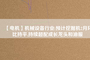 【電機(jī)】機(jī)械設(shè)備行業(yè):預(yù)計(jì)挖掘機(jī)2月環(huán)比持平,持續(xù)超配成長(zhǎng)龍頭和油服
          