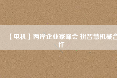 【電機(jī)】兩岸企業(yè)家峰會 拚智慧機(jī)械合作
          