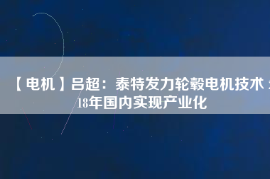 【電機】呂超：泰特發(fā)力輪轂電機技術(shù) 2018年國內(nèi)實現(xiàn)產(chǎn)業(yè)化
          