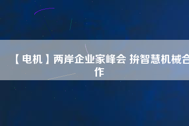 【電機(jī)】兩岸企業(yè)家峰會 拚智慧機(jī)械合作
          