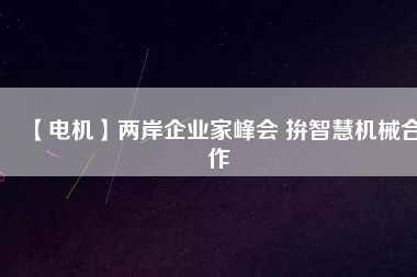 【電機(jī)】兩岸企業(yè)家峰會 拚智慧機(jī)械合作
          