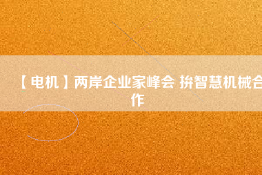 【電機(jī)】兩岸企業(yè)家峰會 拚智慧機(jī)械合作
          