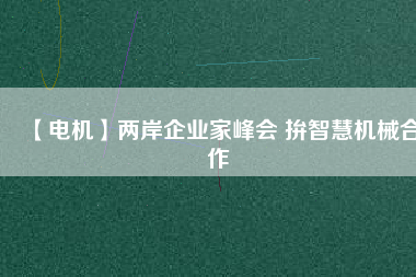 【電機(jī)】兩岸企業(yè)家峰會 拚智慧機(jī)械合作
          