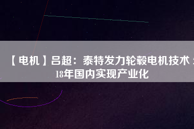 【電機】呂超：泰特發(fā)力輪轂電機技術(shù) 2018年國內(nèi)實現(xiàn)產(chǎn)業(yè)化
          