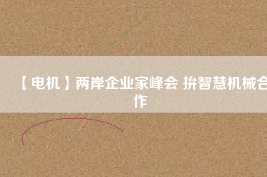 【電機(jī)】兩岸企業(yè)家峰會 拚智慧機(jī)械合作
          