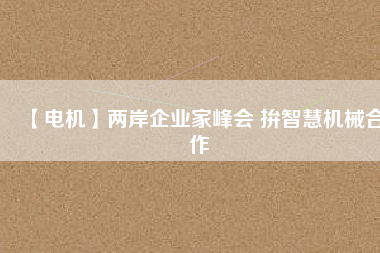 【電機(jī)】兩岸企業(yè)家峰會 拚智慧機(jī)械合作
          