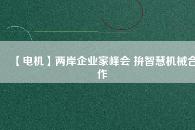 【電機(jī)】兩岸企業(yè)家峰會 拚智慧機(jī)械合作
          